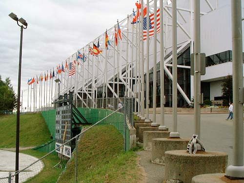 29flags