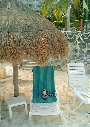 38palapa_relax